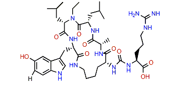 Paltolide B